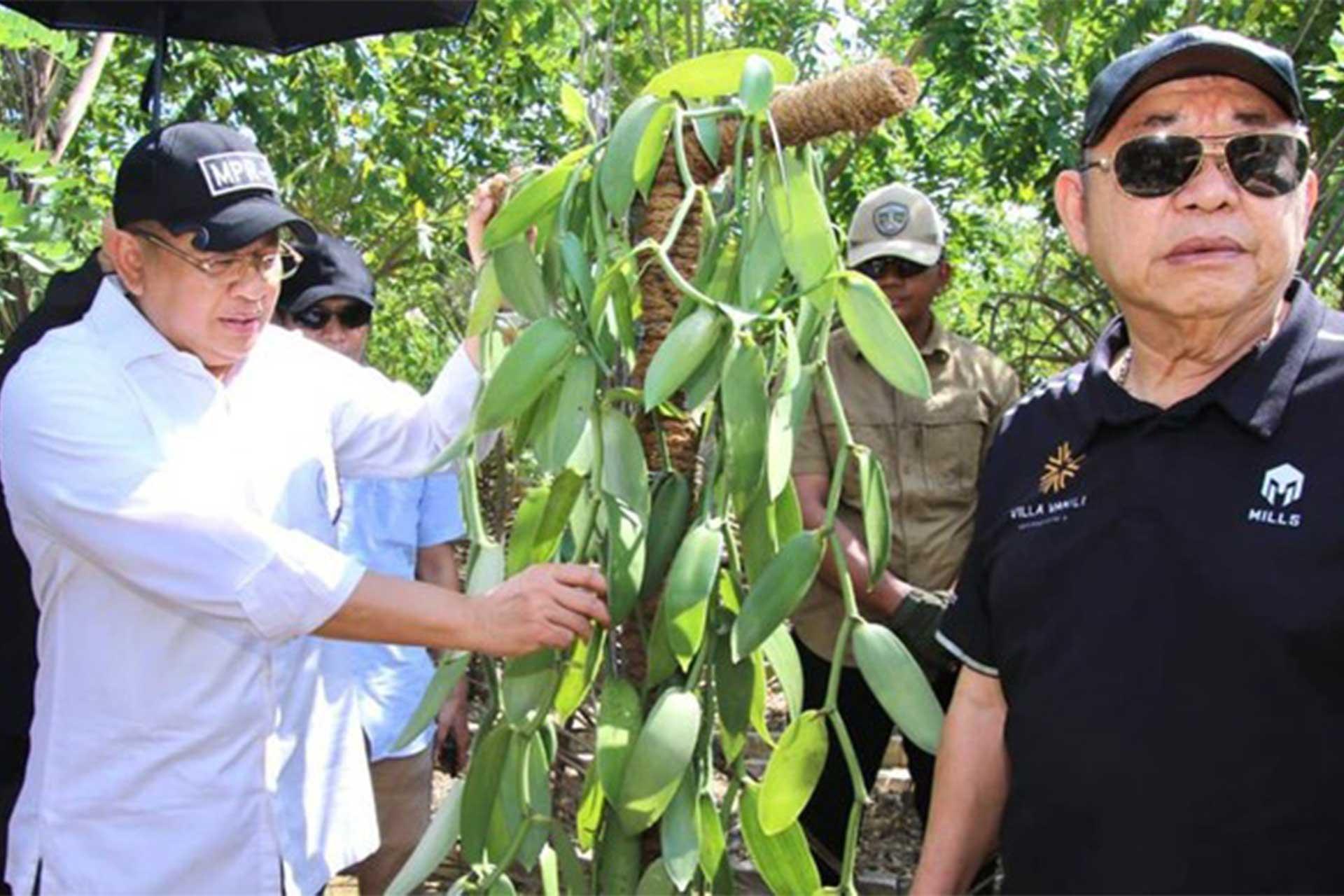 Bamsoet Dukung Pembangunan Kebun Pembibitan Vanili 300 Ha di Banten