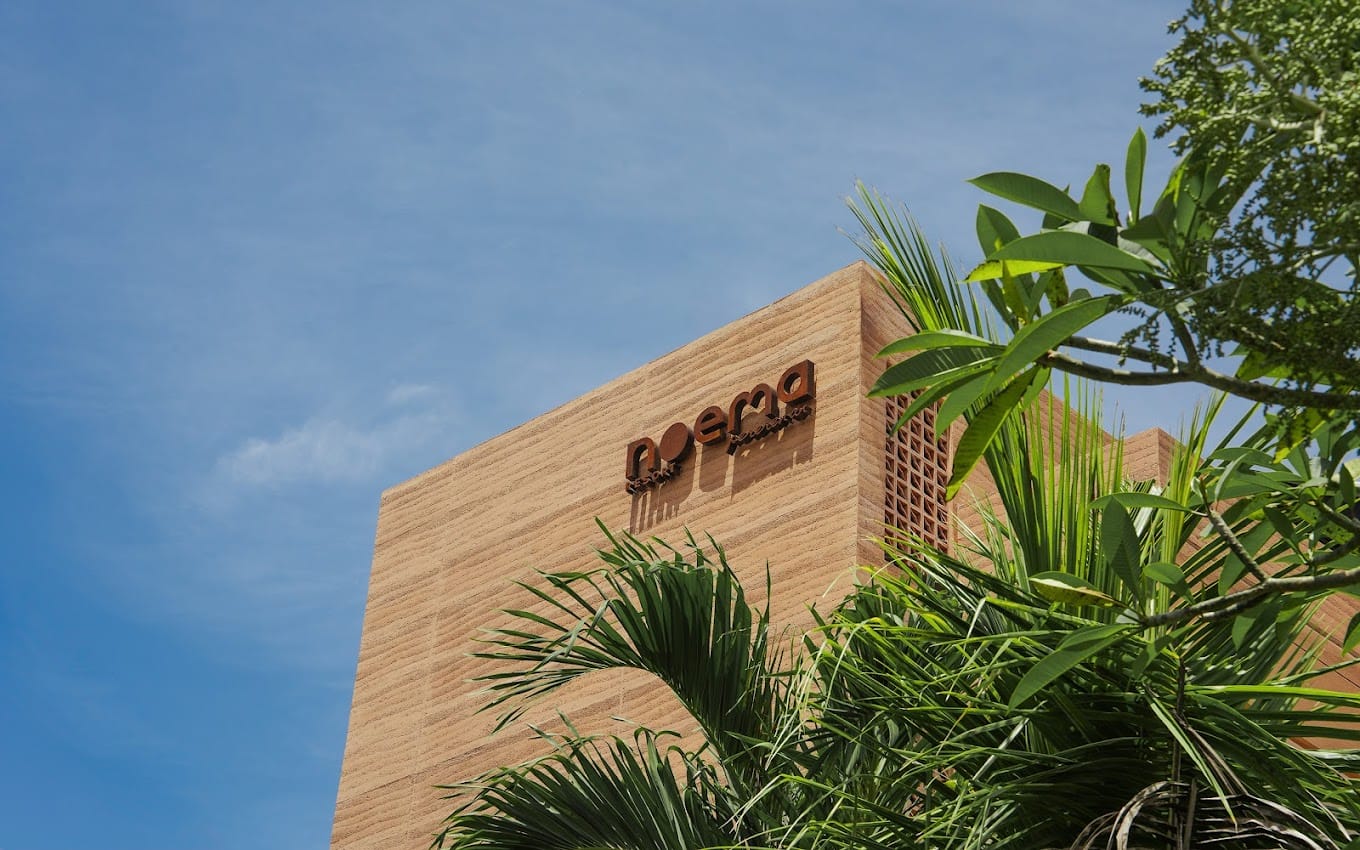 Noema(2)